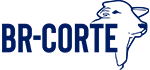 Br Corte
