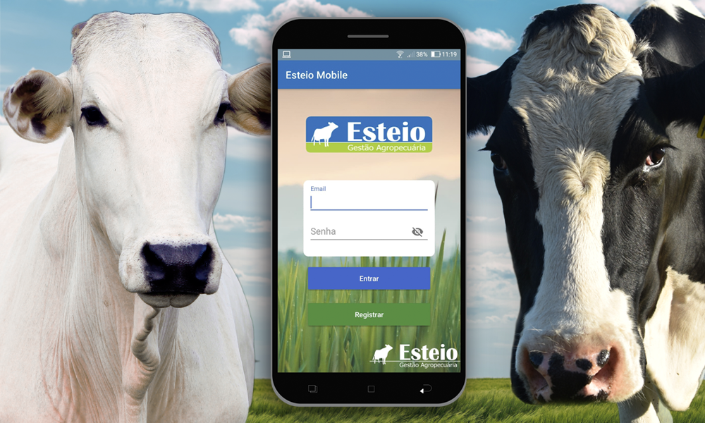 App Esteio