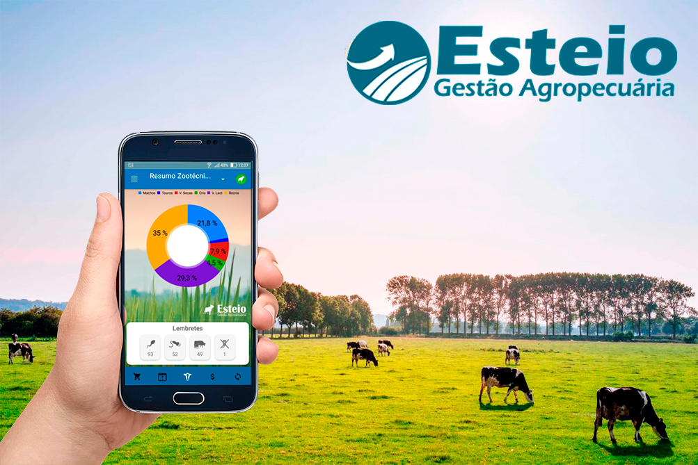 Esteio Gestão